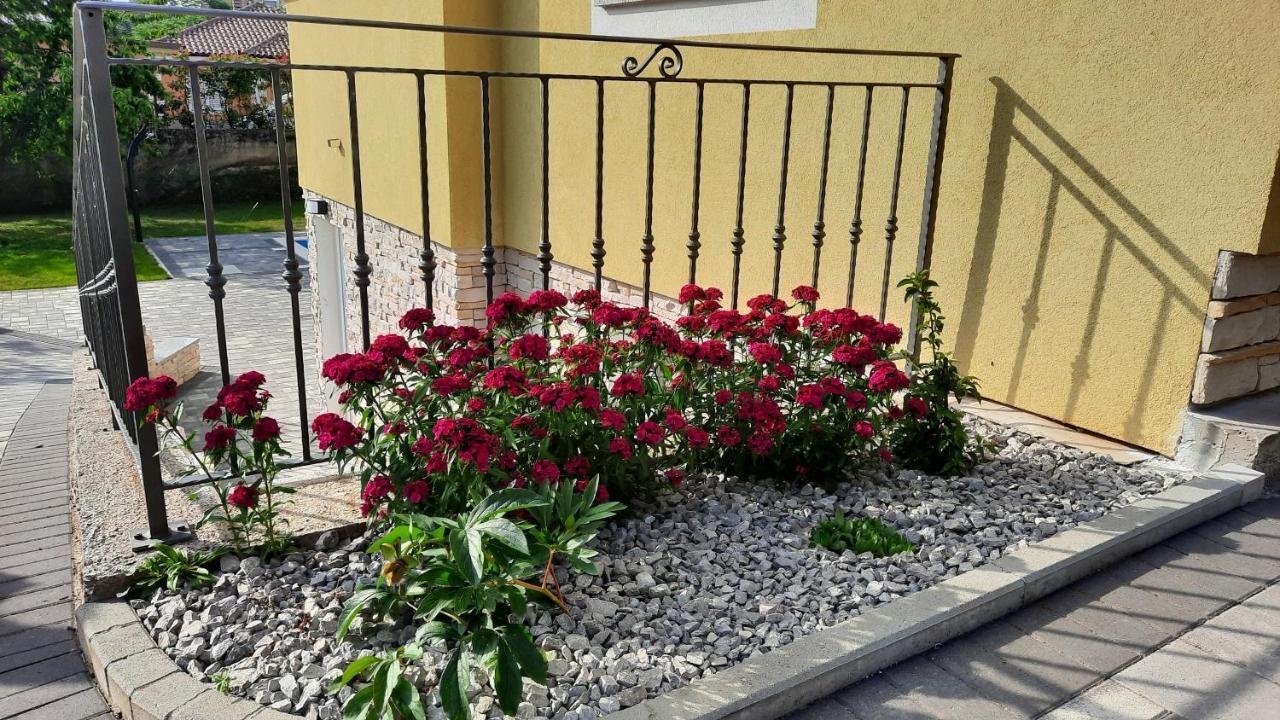 Apartman Ela Donji Rukavac Exterior photo